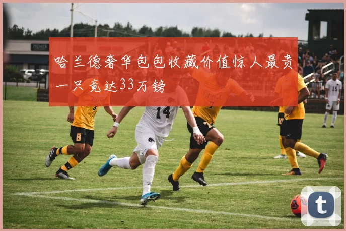 哈兰德奢华包包收藏价值惊人最贵一只竟达33万镑
