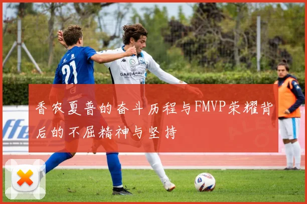 香农夏普的奋斗历程与FMVP荣耀背后的不屈精神与坚持